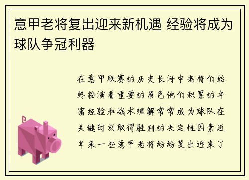 意甲老将复出迎来新机遇 经验将成为球队争冠利器